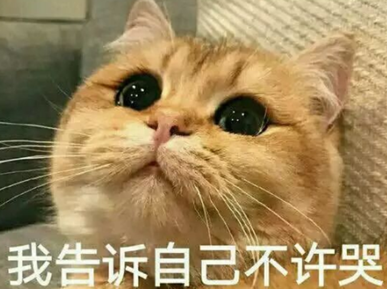 1646381537538380.png image.png