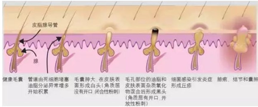 1646381572668780.png image.png