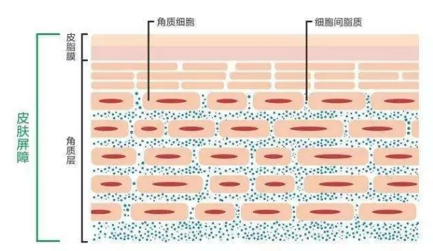 1659931137562910.png 图片4.png