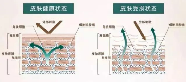 1659931166165628.png 图片6.png