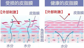 1678171943549128.png 图片6.png