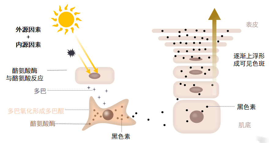 1684141385564357.png 图片3.png