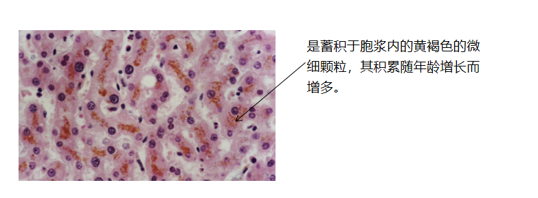 1684141401499639.png 图片4.png