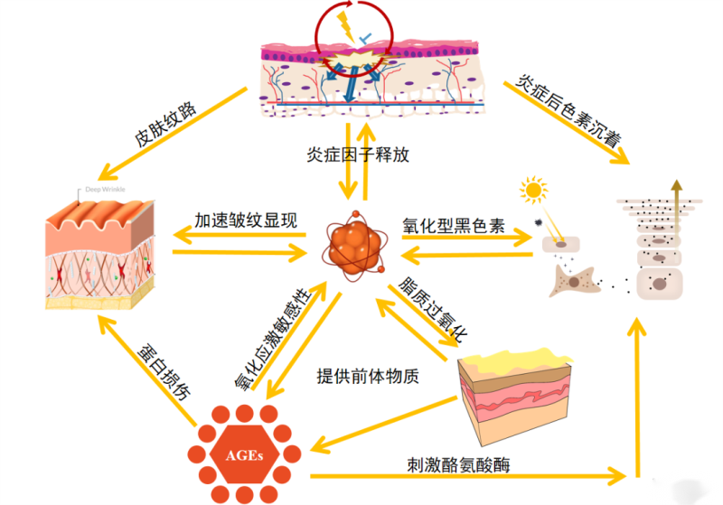 1684141472664325.png 图片6.png