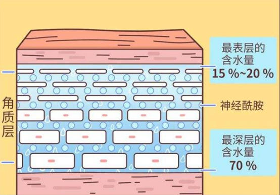 1643264394534336.png image.png