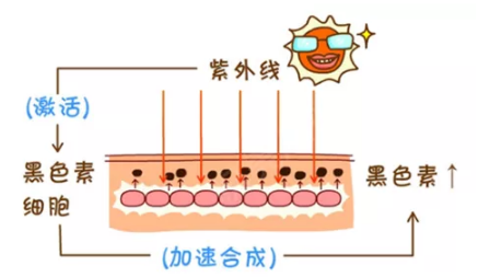 1641374081678496.png image.png