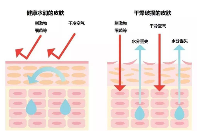 1646382100458719.png image.png