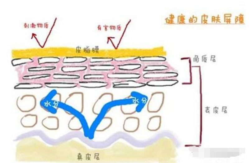 1646382143556267.png image.png