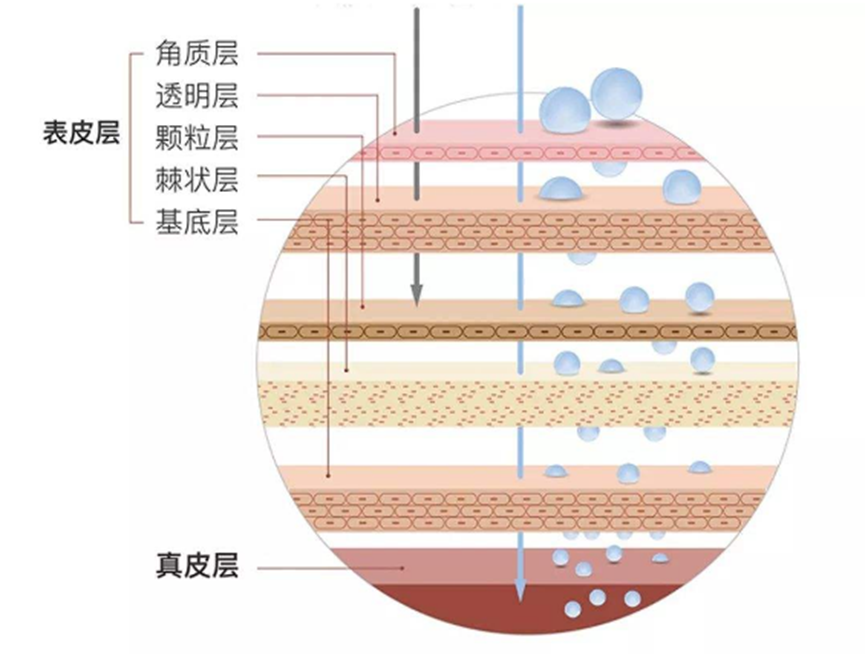 1646382324681893.png image.png