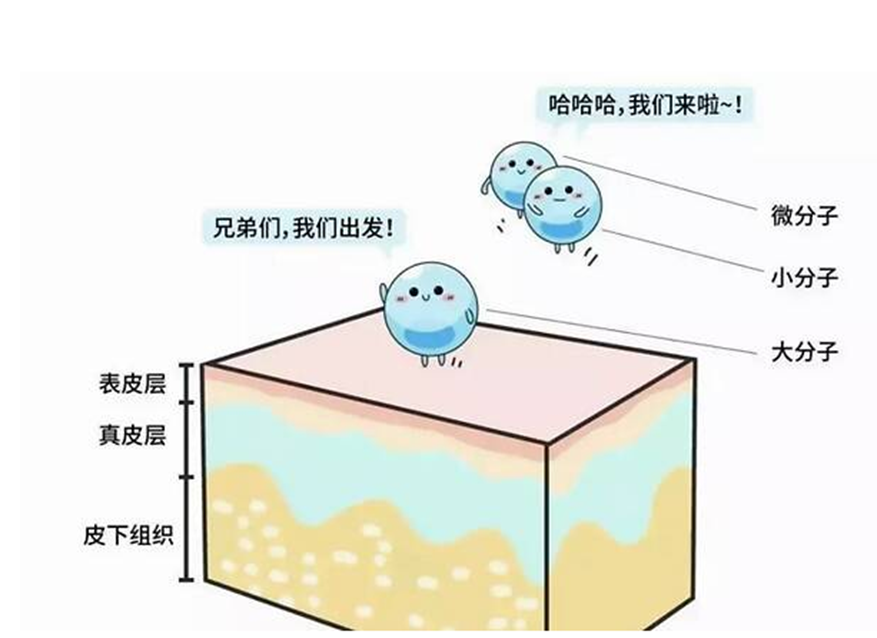 1645173586324054.png image.png