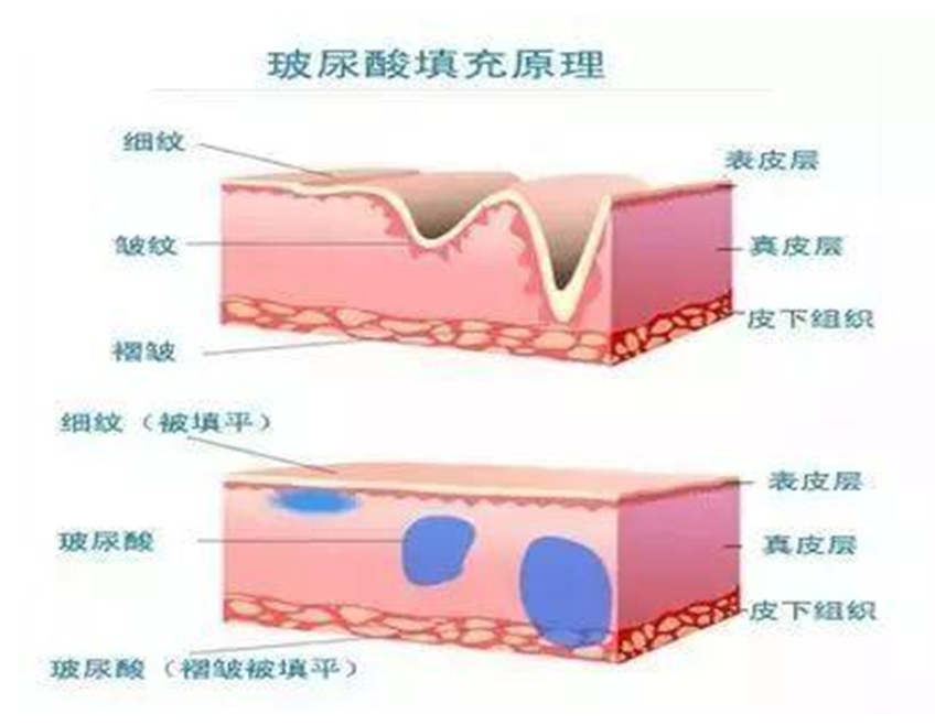 1645173606743494.png image.png