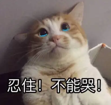 1655950980909111.png 图片15.png