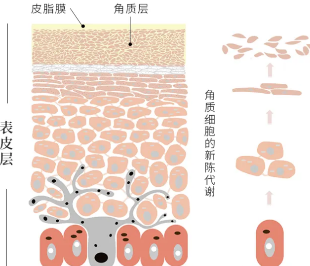 1653634690147061.png 图片3.png