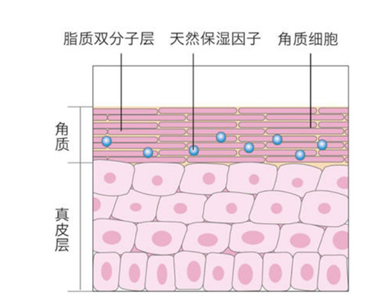 1640163769362604.png image.png