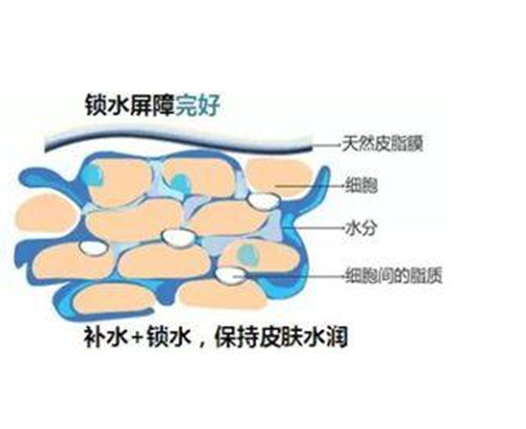 1640163799963441.png image.png