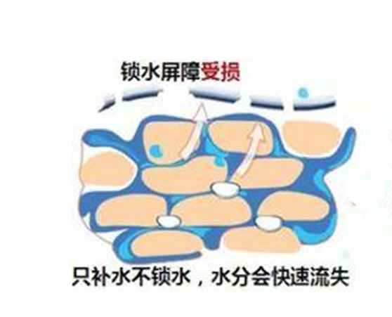 1640163816951346.png image.png